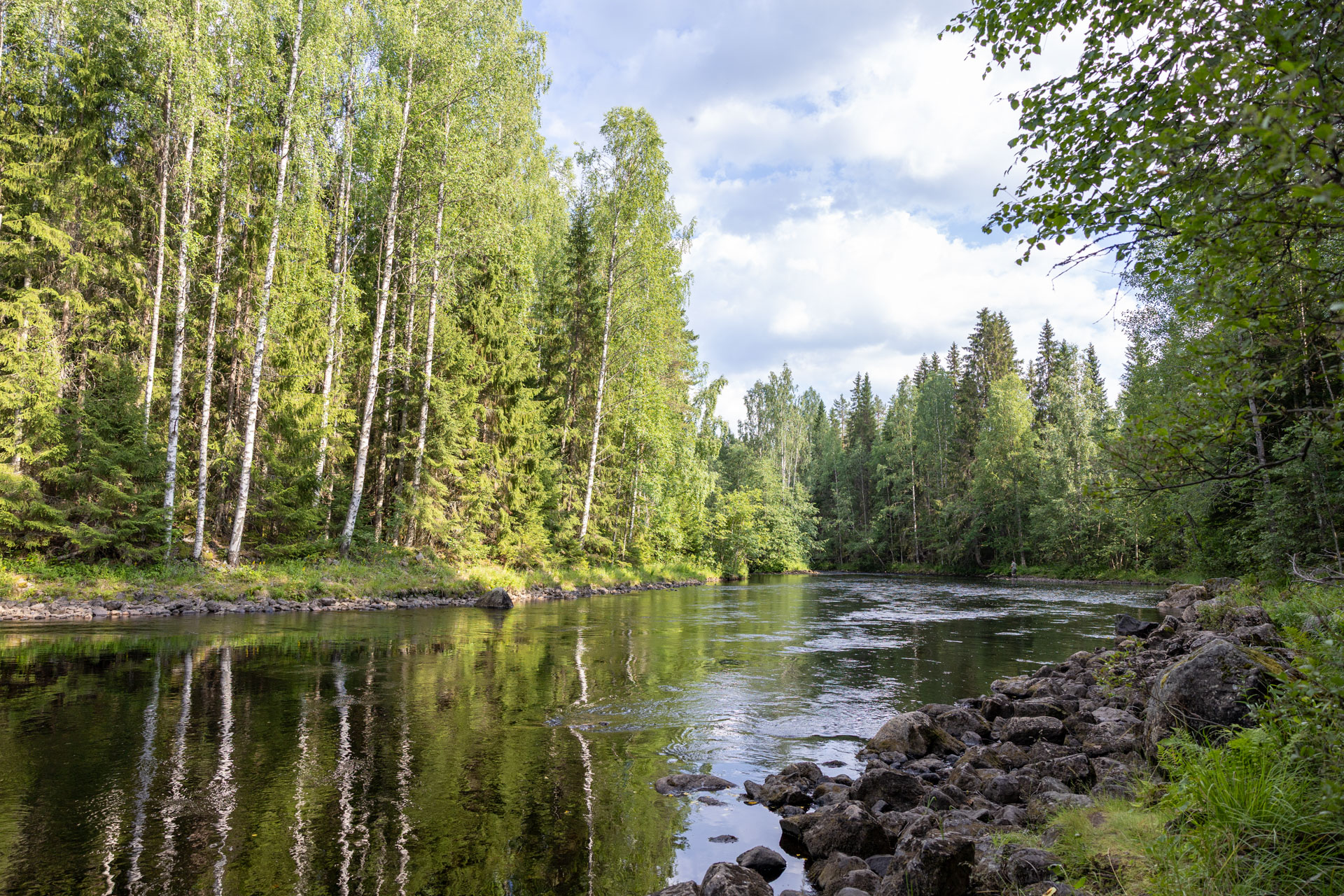 Luontokuvaus