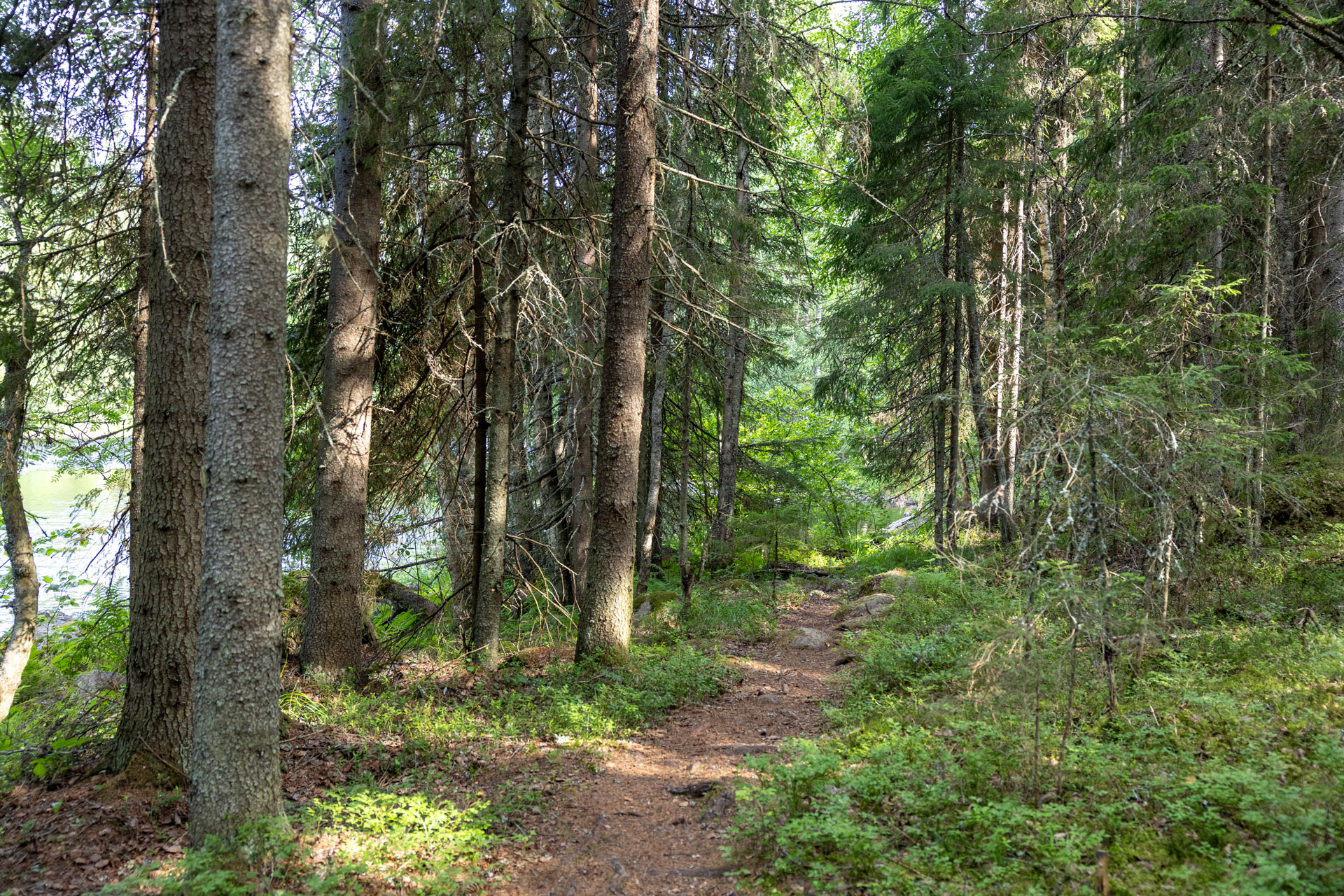 Luontokuvaus